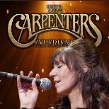 THE CARPENTERS EXPERIENCE