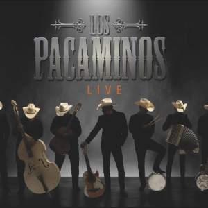 Los Pacaminos featuring PAUL YOUNG