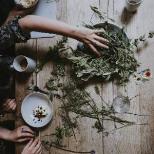 Kimchee and Sauerkraut Making Workshop