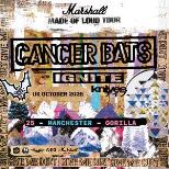 Cancer Bats