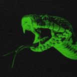 ANTENNA DAYLIGHT FESTIVAL