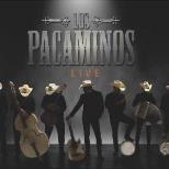 Los Pacaminos featuring PAUL YOUNG