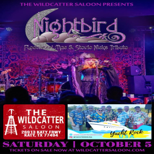 Nightbird - FleetwoodMac & Stevie Nicks Tribute & Yacht Rock