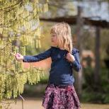 Family: Cyanotype Making