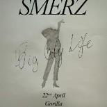 Smerz