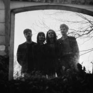 The Felice Brothers