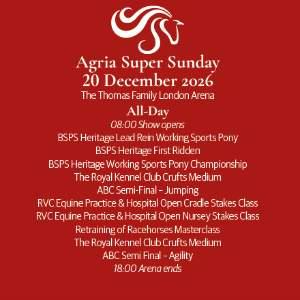 The Thomas Family London Arena & General Entry Tickets