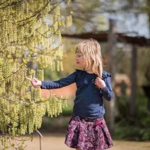 Family: Cyanotype Making