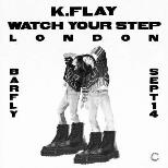 K.Flay