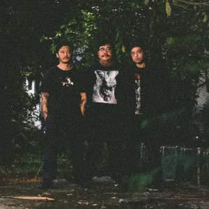 WORMROT