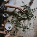 Oxymels And Tinctures Workshop