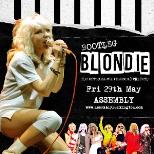 BOOTLEG BLONDIE