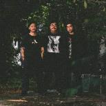 WORMROT