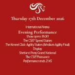 International Arena: Evening