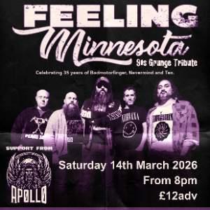 Feeling Minnesota - 90s Grunge Tribute