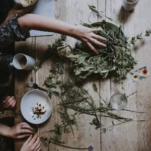 Oxymels And Tinctures Workshop
