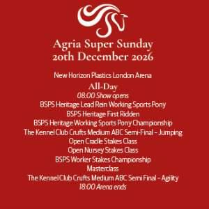 London Arena & General Entry Tickets