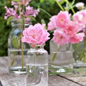 Rose: A Botanical Perfume And Apothecary Class