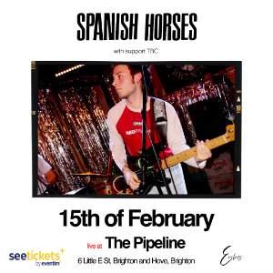 SPANISH HORSES AT THE PIPELINE