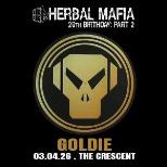 Herbal Mafia 20th birthday part 2: Goldie