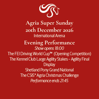 International Arena: Evening