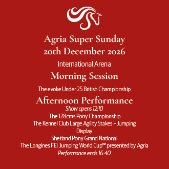 International Arena: Afternoon