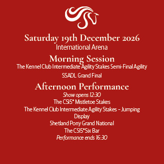 International Arena: Afternoon