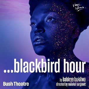 ...blackbird hour