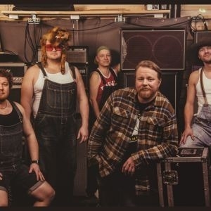 Steve'n'Seagulls