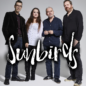 Sunbirds Live at Strings Bar & Venue