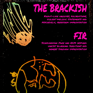 The Brackish & FIR