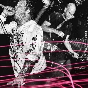 The Hirs Collective