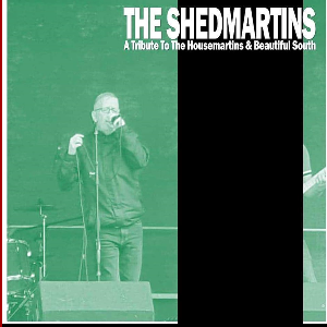 THE SHED MARTINS   The HOUSEMARTINS  B.SOUTH
