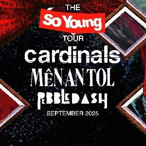 The So Young Tour