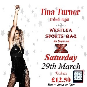 Tina Turner Tribute Night - County Durham