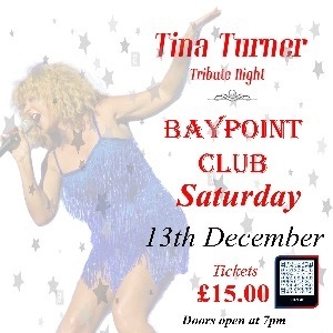 Tina Turner Tribute Night - Sandwich