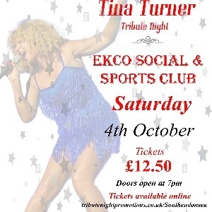 Tina Turner Tribute Night - Southend On Sea Tina Turner Tribute Night - Southend On Sea