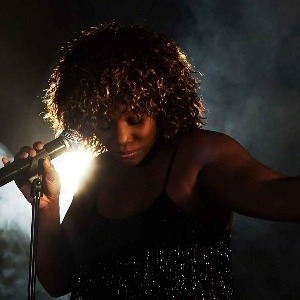 Tina Turner Tribute Night - Stourport