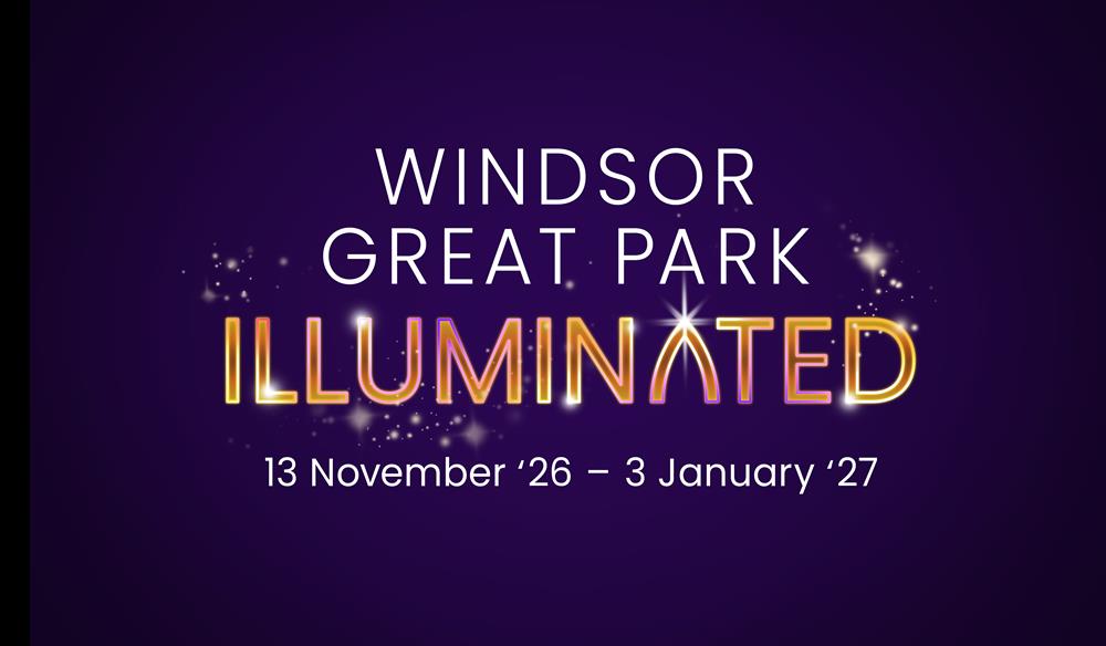Windsor Great Park Illuminated