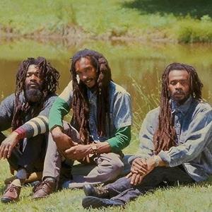 Israel Vibration (Full Live Band) Israel Vibration (Full Live Band)