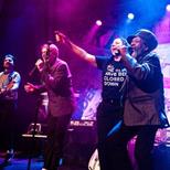 Too Much Too Young - The Story Of 2tone & Beyond