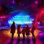 Christmas At Kew - Quiet Access