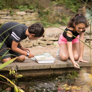 Family: Pondlife Exploration