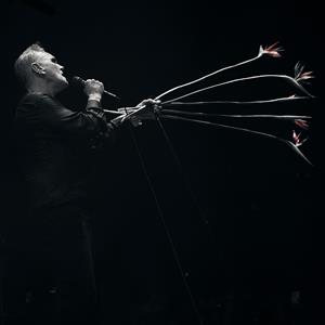 Morrissey