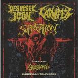 Despised Icon, Carnifex and Suffocation