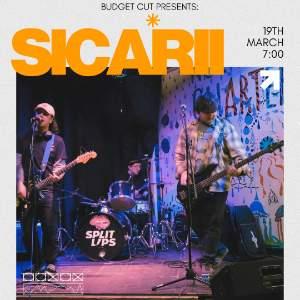 Sicarii, Static Attic, Dorodango & Cygnus