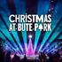 Christmas at Bute Park