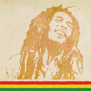 The Marley Experience The Marley Experience
