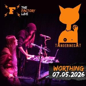 Tangerine Cat