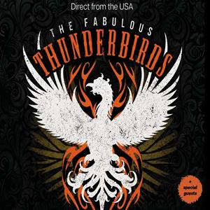 The Fabulous Thunderbirds